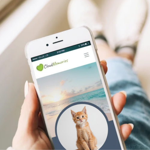 Online Cat Memorial
